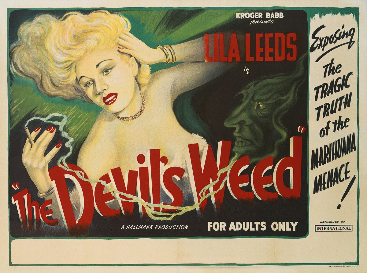 The Devil's Weed
